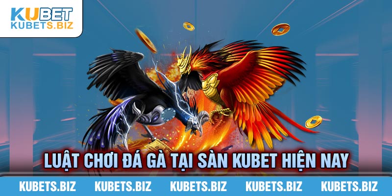 Luật chơi đá gà cơ bản cần nắm