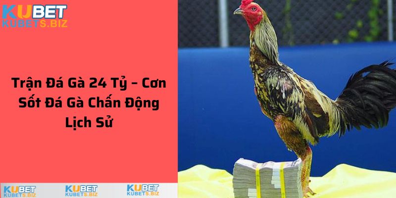 Trận Đá Gà 24 Tỷ