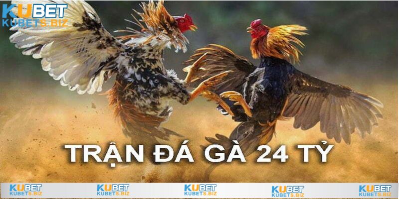 Hậu trường đồ sộ, khán giả chiêm ngưỡng được toàn bộ trận đấu