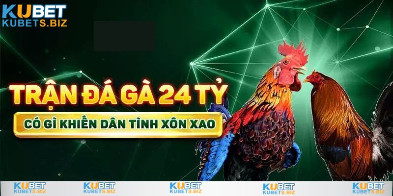 Trận đá gà 24 tỷ ghi nhiều dấu ấn lịch sử