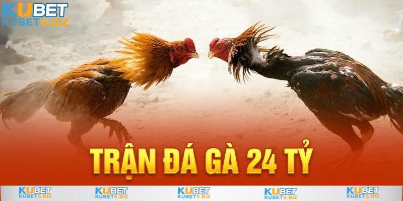 Sức nóng trận đá gà 24 tỷ lan rộng ra toàn quốc ở Việt Nam